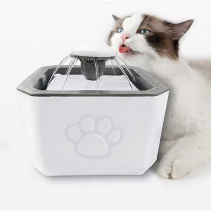 🐶🐱Fuente Dispensadora🧊⛲ De Agua Para Mascotas + Filtro de algodón con carbón activado 🐾🐾